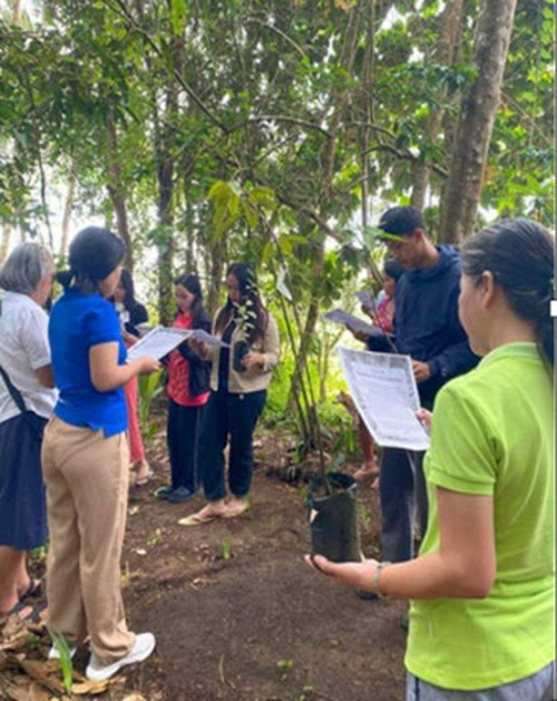 Nonviolence And Earth Education At Holy Cross High School In The Philippines